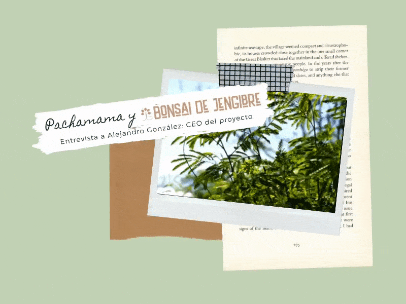 Alejandro González: «El marketing en el mundo de la sostenibilidad debe tener la función de educar»