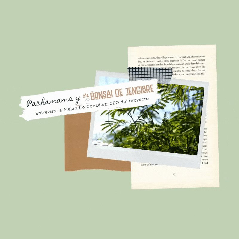 Alejandro González: «El marketing en el mundo de la sostenibilidad debe tener la función de educar»