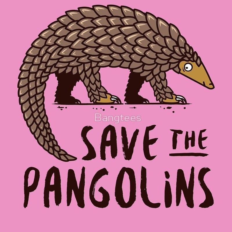 WWF contra los mercados ilegales de animales