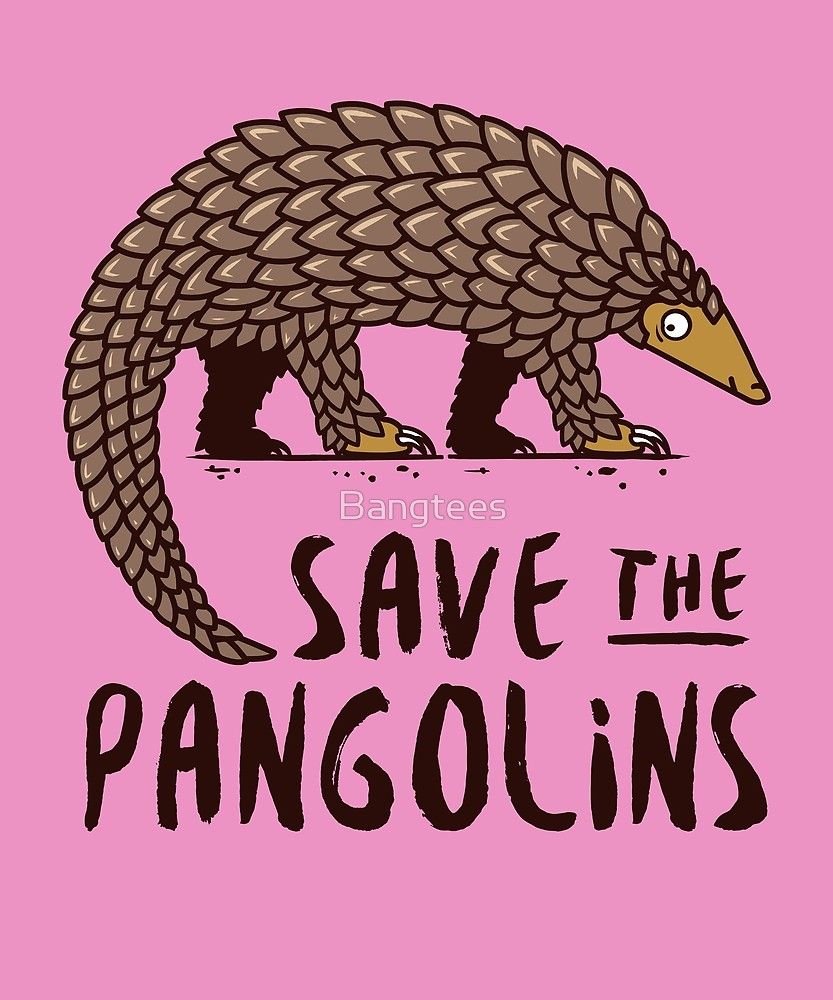 WWF contra los mercados ilegales de animales